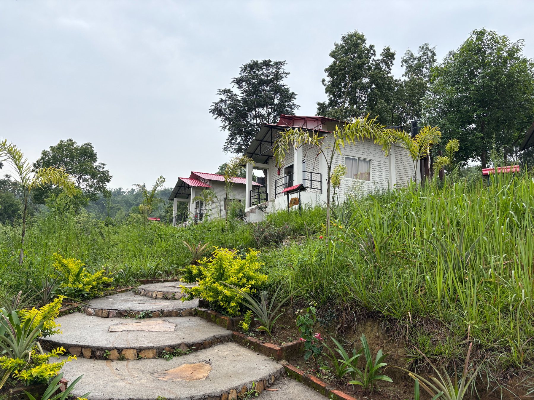Cabins on the hillside at Da-Wan-Ki
