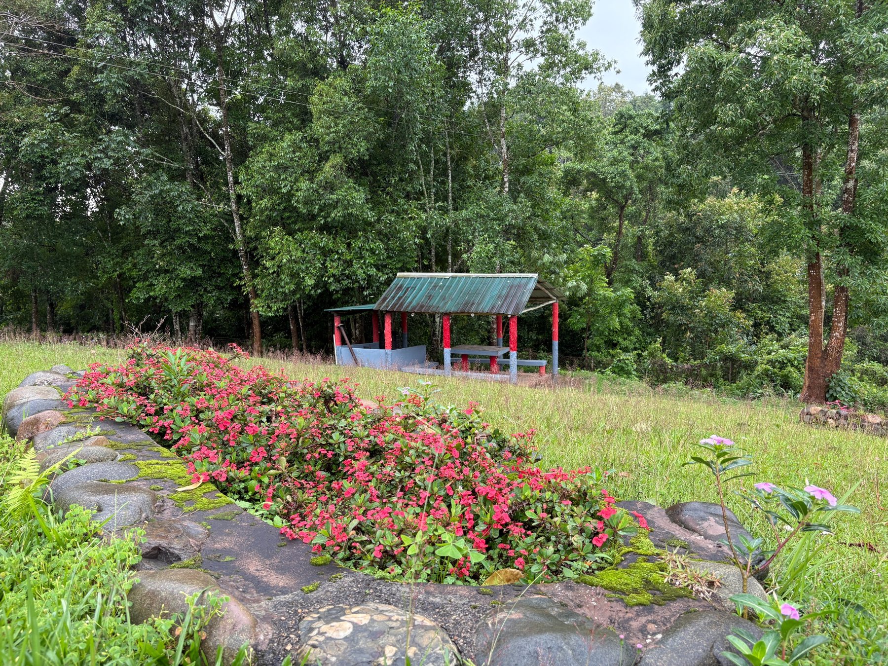 Garden and flowers at Da-Wan-Ki