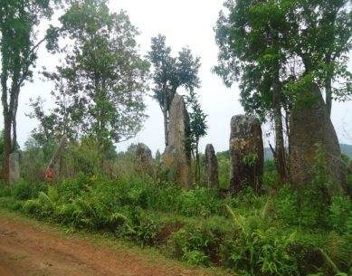 Forest landscape at Da-Wan-Ki